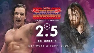 NJPW Road To New Beginning Tokyo 2018 Day 1