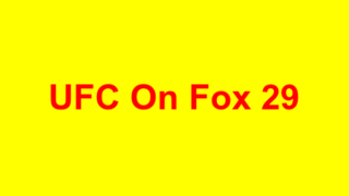 UFC On Fox 29