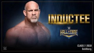 WWE WWE Hall of Fame 2018