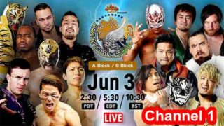 SemiFinal – NJPW Best Of The Super Jr.25 2018 Day 13