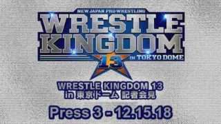 PRESS 3 -Wrestle Kingdom 13 12.15.18
