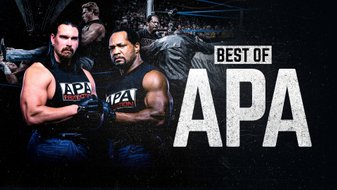 WWE The Best Of APA