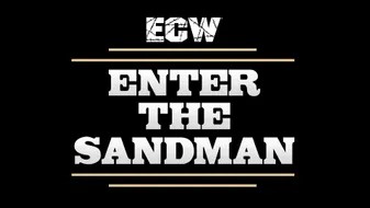 14_ECW_Enter_The_Sandman_1995_05_13_SHD