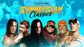 WWE The Best Of WWE E97 SummerSlam Classics