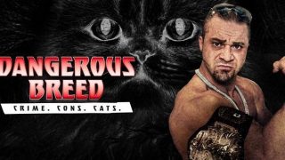 Dangerous Breed Crime Cons Cats Episode 1, 2 and 3
