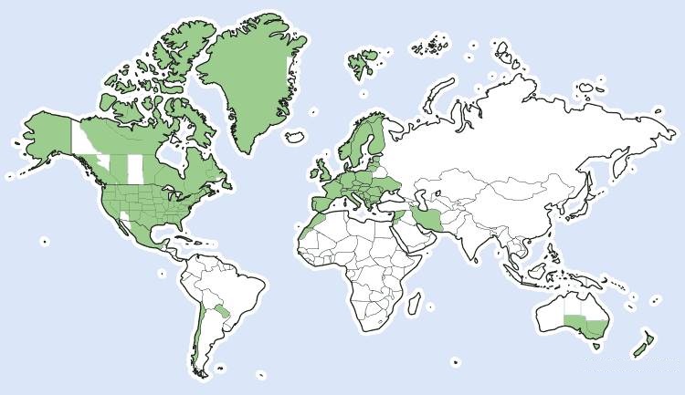 Live Shows : DST Time Zone Change 2024