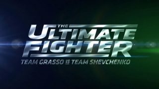 Ultimate fighter june 11th